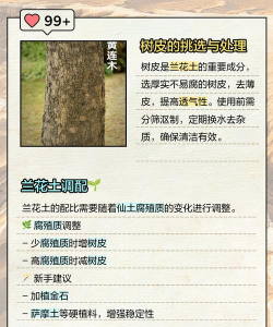 养花土配方,自己动手配,省钱又实用 养花土配方,自己动手配,省钱又实用