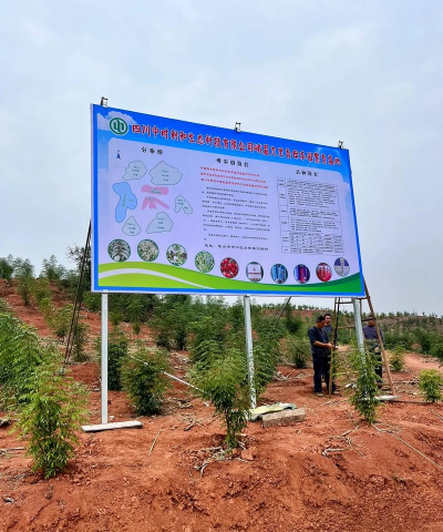 中国中药材种植养殖网,了解行业信息,获取专业指导 中国中药材种植养殖网,了解行业信息,获取专业指导