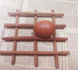 臭鸡蛋养花,废物利用,效果惊人 臭鸡蛋养花,废物利用,效果惊人