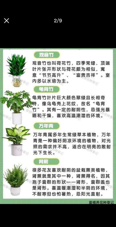 耐阴花卉有哪些,适合室内种植,美化家居环境 耐阴花卉有哪些,适合室内种植,美化家居环境