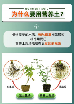 粪肥养花,提升土壤肥力,促进植物生长 粪肥养花,提升土壤肥力,促进植物生长