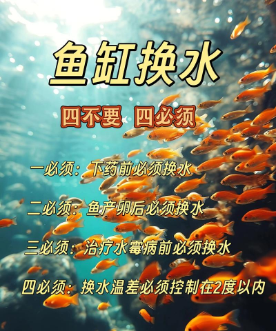瘦身鱼养殖水深要求,影响生长关键,决定养殖成败 瘦身鱼养殖水深要求,影响生长关键,决定养殖成败
