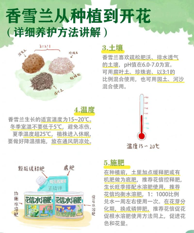 花卉的养殖方法,新手入门指南,轻松养好花 花卉的养殖方法,新手入门指南,轻松养好花