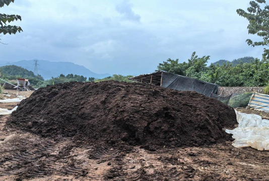 干牛粪养花,肥效持久,改善土壤 干牛粪养花,肥效持久,改善土壤
