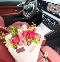 汽车里养花,提升车内氛围,注意安全细节 汽车里养花,提升车内氛围,注意安全细节