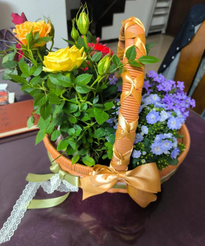 曹庄子花卉,选购技巧,养护要点 曹庄子花卉,选购技巧,养护要点