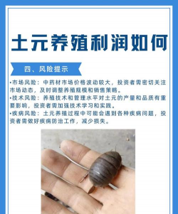 土元养殖公司,规模最大是哪家,养殖户怎么选 土元养殖公司,规模最大是哪家,养殖户怎么选