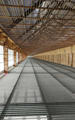 鸽子养殖大棚的设计养鸽大棚,合理规划布局,提升养殖效率 鸽子养殖大棚的设计养鸽大棚,合理规划布局,提升养殖效率