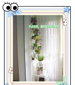 阳台养花遮阳,避免暴晒伤害,保护植物生长 阳台养花遮阳,避免暴晒伤害,保护植物生长