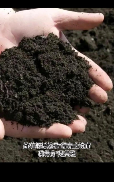 鹿粪养花,肥力持久,改善土壤 鹿粪养花,肥力持久,改善土壤