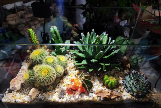 建筑沙养花,改善土壤透气,提升植物成活率 建筑沙养花,改善土壤透气,提升植物成活率