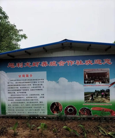 邵阳龙虾养殖基地,选址要点,管理技巧 邵阳龙虾养殖基地,选址要点,管理技巧