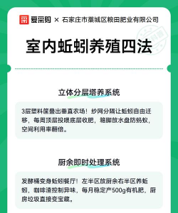 蚯蚓养殖加盟合作,选择靠谱平台,实现稳定收益 蚯蚓养殖加盟合作,选择靠谱平台,实现稳定收益