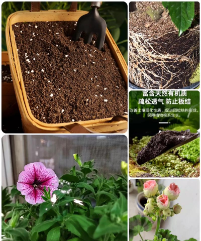 养花土质,选对关键,植物更健康 养花土质,选对关键,植物更健康