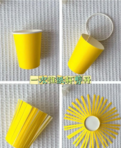 纸杯养花,简单易行,新手也能轻松上手 纸杯养花,简单易行,新手也能轻松上手