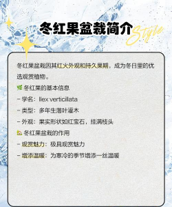 盆栽冬红果,养殖技巧分享,轻松养护指南 盆栽冬红果,养殖技巧分享,轻松养护指南