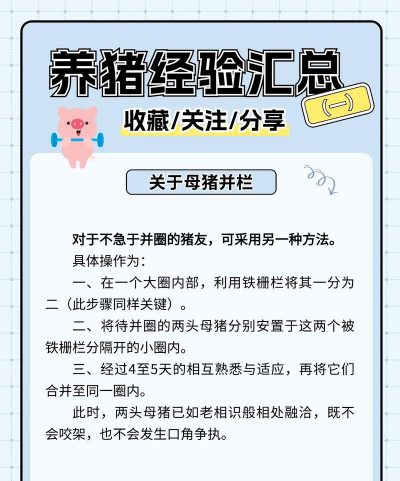 香猪养殖利润与成本,投入产出分析,新手避坑指南 香猪养殖利润与成本,投入产出分析,新手避坑指南