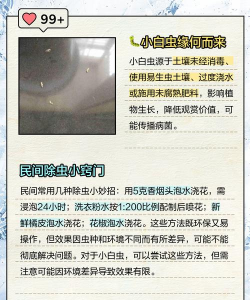 养花招虫子,常见问题,解决方向 养花招虫子,常见问题,解决方向