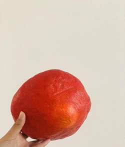 蘑菇棒养花,废物利用,环保又省钱 蘑菇棒养花,废物利用,环保又省钱