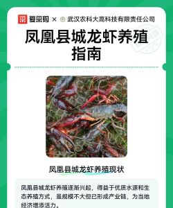 广东可以养殖小龙虾吗,气候条件分析,养殖前景探讨 广东可以养殖小龙虾吗,气候条件分析,养殖前景探讨