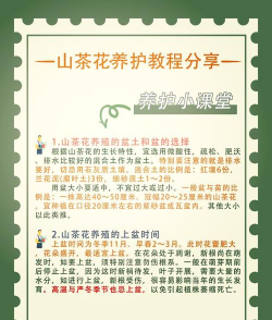 养花放茶叶,常见误区,正确做法 养花放茶叶,常见误区,正确做法