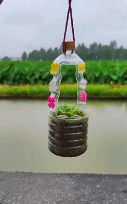 芝麻酱养花,废物利用,省钱又环保 芝麻酱养花,废物利用,省钱又环保