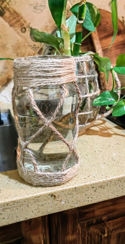 芝麻酱养花,废物利用新思路,家庭园艺小妙招 芝麻酱养花,废物利用新思路,家庭园艺小妙招