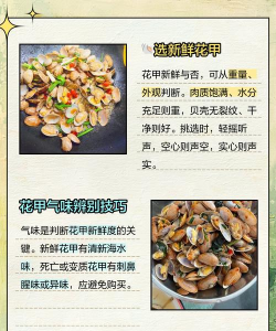 海水晶养花甲,保持鲜活,延长存活时间 海水晶养花甲,保持鲜活,延长存活时间