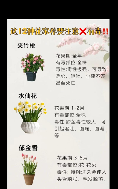 为什么有人养花养不活,常见原因分析,实用避坑指南 为什么有人养花养不活,常见原因分析,实用避坑指南