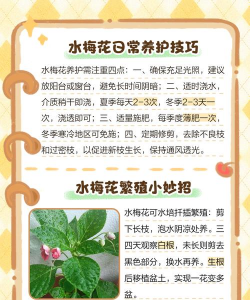 水梅花的养殖方法,掌握关键技巧,轻松养出好状态 水梅花的养殖方法,掌握关键技巧,轻松养出好状态