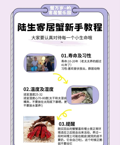 怎么养殖,新手入门,常见问题解答 怎么养殖,新手入门,常见问题解答