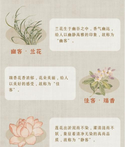 花卉成语,文化韵味,生活点缀 花卉成语,文化韵味,生活点缀