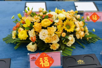 会议室花卉,提升环境氛围,选择与摆放技巧 会议室花卉,提升环境氛围,选择与摆放技巧