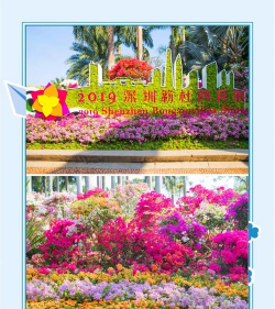 深圳花卉世界,品种丰富多样,逛买攻略分享 深圳花卉世界,品种丰富多样,逛买攻略分享