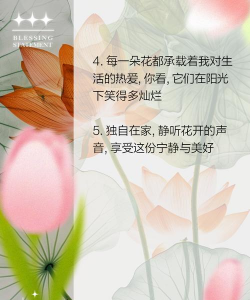 养花的人生,享受生活乐趣,感悟生命真谛 养花的人生,享受生活乐趣,感悟生命真谛