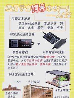 养殖教程,新手入门指南,常见问题解答 养殖教程,新手入门指南,常见问题解答