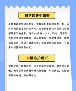 螃蟹养殖,掌握关键技巧,实现稳定增收 螃蟹养殖,掌握关键技巧,实现稳定增收