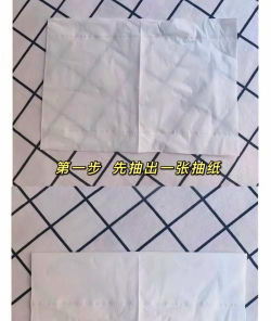 纸巾养花,简单易学,新手也能轻松上手 纸巾养花,简单易学,新手也能轻松上手