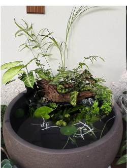 砂锅养花,创意盆栽,打造独特家居 砂锅养花,创意盆栽,打造独特家居