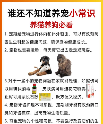 养殖宠物,新手入门,常见问题解答 养殖宠物,新手入门,常见问题解答