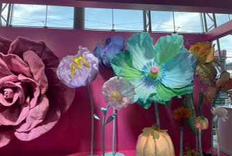 碎纸养花,废物利用,美化家居 碎纸养花,废物利用,美化家居