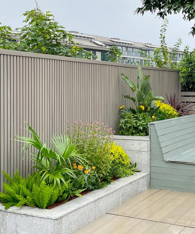 冬季室外花卉,耐寒品种推荐,庭院美化选择 冬季室外花卉,耐寒品种推荐,庭院美化选择