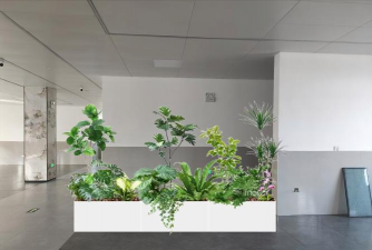 出租绿植花卉,美化办公空间,提升环境氛围 出租绿植花卉,美化办公空间,提升环境氛围