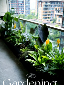 色素养花,提升家居美感,打造宁静空间 色素养花,提升家居美感,打造宁静空间