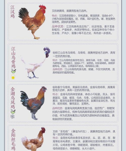 广东养殖,选对品种,掌握关键技巧 广东养殖,选对品种,掌握关键技巧