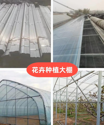 花卉大棚公司,专业建造方案,高效种植管理 花卉大棚公司,专业建造方案,高效种植管理