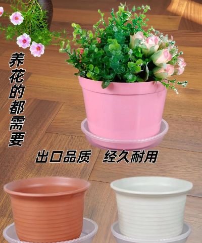 养花托盘,选对材质,用对方法 养花托盘,选对材质,用对方法