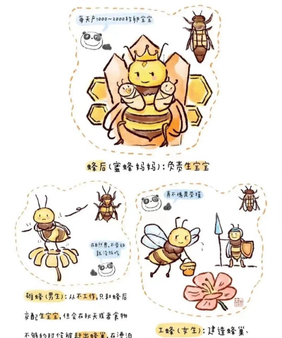 蜜蜂养殖,新手入门,常见问题解答 蜜蜂养殖,新手入门,常见问题解答
