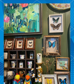 深港花卉中心,花卉选购指南,新手避坑技巧 深港花卉中心,花卉选购指南,新手避坑技巧