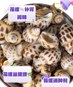 怎么养花螺,掌握关键技巧,轻松养好它 怎么养花螺,掌握关键技巧,轻松养好它